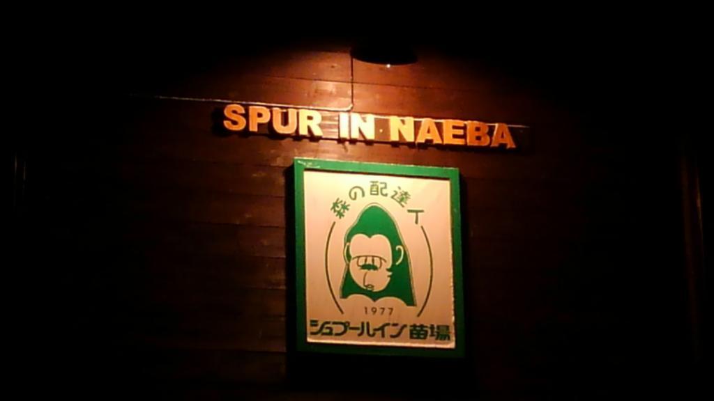 쿠사츠 Spur In Naeba 빌라 외부 사진